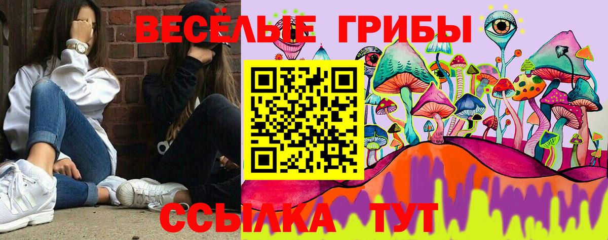 Псилоцибиновые грибы MAGIC MUSHROOMS  Псилоцибиновые грибы Cubensis  Вход с VPN  Азнакаево 