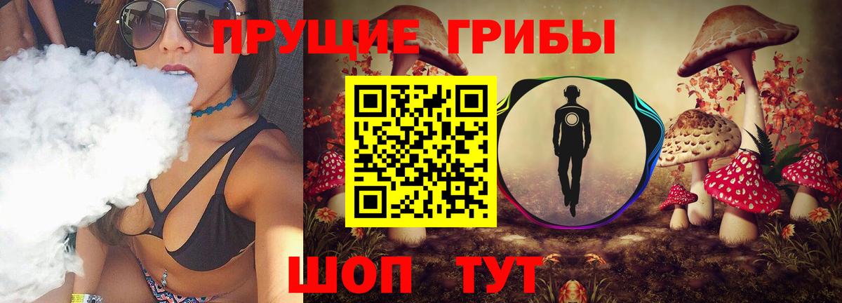 Псилоцибиновые грибы мицелий Азнакаево